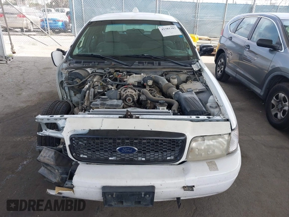 2009 Ford Police Interceptor with VIN 2FAHP71V29X129265, listed as a IAAI auction lot 42381382 with Not provided miles and . Bid and sale history available at DreamBid. Image 12.