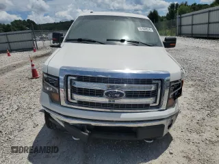 2013 Ford F-150 XL with VIN 1FTFX1EF4DFB02199, listed as a Copart auction lot 61959245 with 165,390 mi miles and Salvage title. Bid and sale history available at DreamBid. Image 5.
