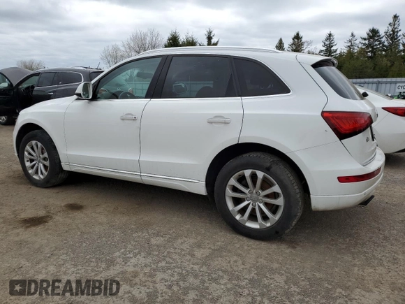 2016 Audi Q5 Premium Plus with VIN WA1L2AFP5GA036184, listed as a Copart auction lot 56075485 with 161,890 mi miles and Clean title. Bid and sale history available at DreamBid. Image 2.