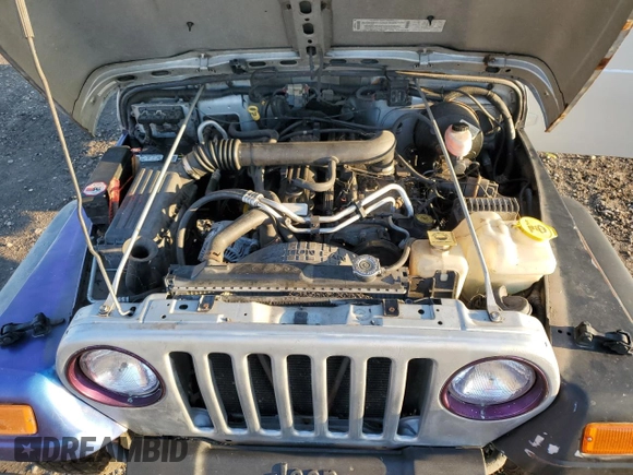 2003 Jeep Wrangler Sport with VIN 1J4FA49S03P313901, listed as a Copart auction lot 46100245 with 61,335 mi miles and Clean Title. Bid and sale history available at carsss.com. Image 12.