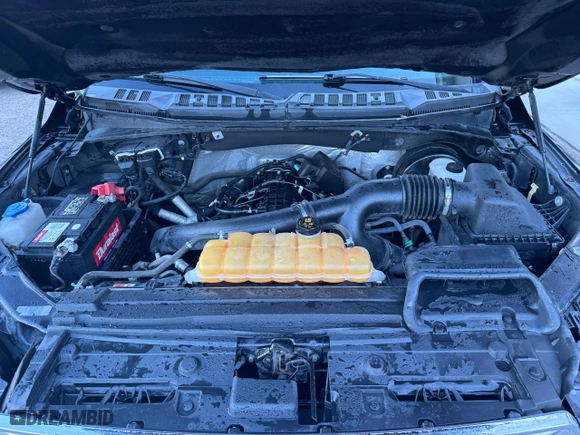 2015 Ford F-150 XL with VIN 1FTEW1CG5FKE37430, listed as a Copart auction lot 83668404 with 291,883 mi miles and Clean Title. Bid and sale history available at carsss.com. Image 7.