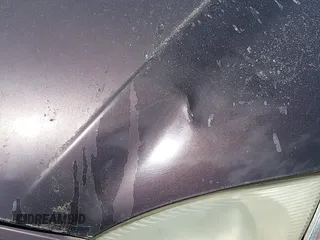 1999 Hyundai Elantra z VIN KMHJF25F1XU806648, wystawiony jako IAAI lot #42331073 z przebiegiem 196 577 mil mil oraz . Historia ofert i sprzedaży dostępna na DreamBid. Obrazek 6.