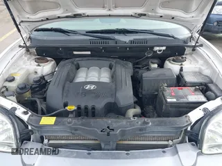 2004 Hyundai Santa Fe GLS with VIN KM8SC13DX4U609921, listed as a IAAI auction lot 41619492 with 113,592 mi miles. Bid and sale history available at carsss.com. Image 10.