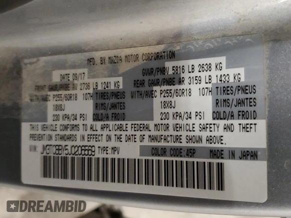 2018 Mazda CX-9 Sport with VIN JM3TCBBY5J0206569, listed as a Copart auction lot 46596295 with 113,492 mi miles and Salvage Title. Bid and sale history available at carsss.com. Image 13.