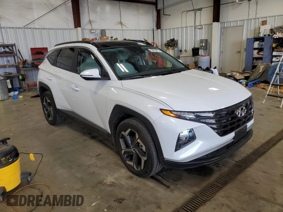 2024 Hyundai Tucson SEL Convenience with VIN KM8JCCD11RU154444, listed as a Copart auction lot 53873975 with 4,243 mi miles and Salvage Title. Bid and sale history available at carsss.com. Image 4.