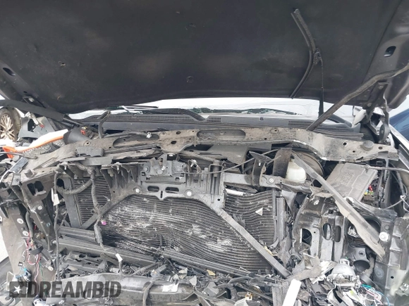 2017 Chevrolet Suburban LT z VIN 1GNSKHKC2HR315082, wystawiony jako IAAI lot #41545420 z przebiegiem 117 565 mil mil oraz . Historia ofert i sprzedaży dostępna na DreamBid. Obrazek 10.