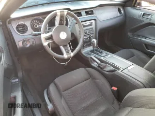 2013 Ford Mustang V6 with VIN 1ZVBP8AM2D5232027, listed as a Copart auction lot 49652665 with Not provided miles and Salvage title. Bid and sale history available at DreamBid. Image 8.