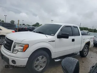 2009 Ford F-150 STX with VIN 1FTRX12W09FA04019, listed as a Copart auction lot 58752715 with 222,820 mi miles and Clean title. Bid and sale history available at DreamBid. Image 1.