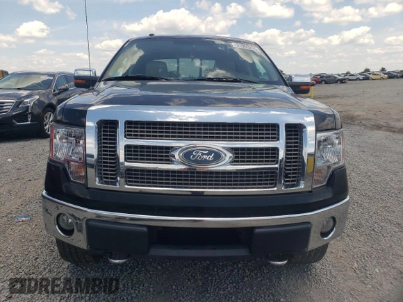 2009 Ford F-150 XL with VIN 1FTPW14V09FB25728, listed as a Copart auction lot 61993255 with 342,183 mi miles and Salvage title. Bid and sale history available at DreamBid. Image 5.