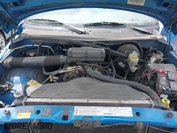1999 Dodge 1500 z VIN 3B7HC13Y0XG208046, wystawiony jako IAAI lot #42027868 z przebiegiem 188 385 mil mil oraz . Historia ofert i sprzedaży dostępna na DreamBid. Obrazek 10.