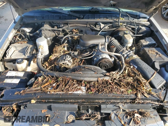2003 GMC Sonoma SLS z VIN 1GTCS19X438152267, wystawiony jako Copart lot #73819614 z przebiegiem Nie podano mil oraz Szkoda całkowita • Salvage title. Historia ofert i sprzedaży dostępna na DreamBid. Obrazek 11.