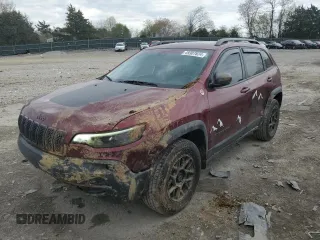 2019 Jeep Cherokee Trailhawk Elite z VIN 1C4PJMBN7KD211588, wystawiony jako Copart lot #49307824 z przebiegiem 54 781 mil mil oraz Szkoda całkowita • Salvage title. Historia ofert i sprzedaży dostępna na DreamBid. Obrazek 1.