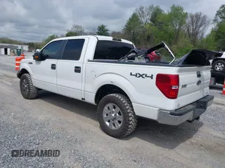 2011 Ford F-150 XL with VIN 1FTFW1EF0BKD38842, listed as a IAAI auction lot 42120431 with 285,712 mi miles and . Bid and sale history available at carsss.com. Image 3.
