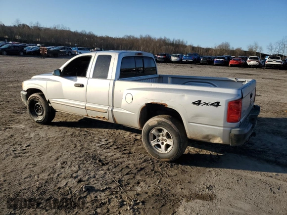 2005 Dodge Dakota SLT with VIN 1D7HW42N55S199548, listed as a Copart auction lot 49625615 with Not Provided miles and Salvage Title. Bid and sale history available at DreamBid. Image 2.