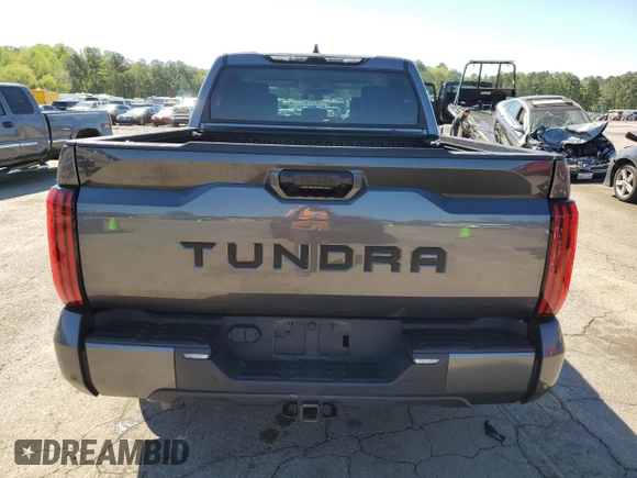 2022 Toyota Tundra SR5 with VIN 5TFLA5AB3NX009801, listed as a Copart auction lot 49465614 with 19,376 mi miles and Salvage title. Bid and sale history available at DreamBid. Image 6.