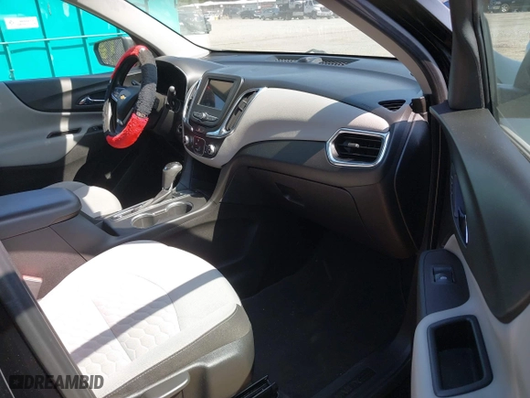 2019 Chevrolet Equinox LS with VIN 2GNAXHEV7K6212446, listed as a IAAI auction lot 42004161 with 123,863 mi miles. Bid and sale history available at carsss.com. Image 5.