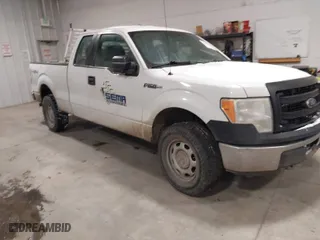 2014 Ford F-150 XL with VIN 1FTFX1EF6EFA29628, listed as a IAAI auction lot 41298438 with 343,733 mi miles. Bid and sale history available at carsss.com. Image 1.