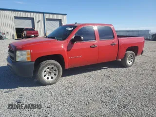 2008 Chevrolet Silverado 1500 Work Truck with VIN 2GCEC13CX81100843, listed as a Copart auction lot 49337315 with 282,017 mi miles and Non Repairable. Bid and sale history available at DreamBid. Image 1.