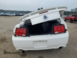 2006 Ford Mustang GT Deluxe with VIN 1ZVHT82H665248483, listed as a Copart auction lot 43163155 with 0 mi miles and Salvage Title. Bid and sale history available at carsss.com. Image 6.