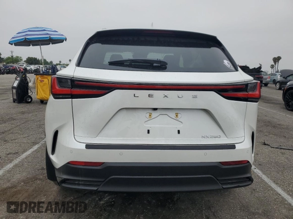 2025 Lexus NX 250 Premium with VIN JTJGDCAZ6S2025006, listed as a Copart auction lot 59337965 with 1,219 mi miles and Salvage title. Bid and sale history available at DreamBid. Image 6.