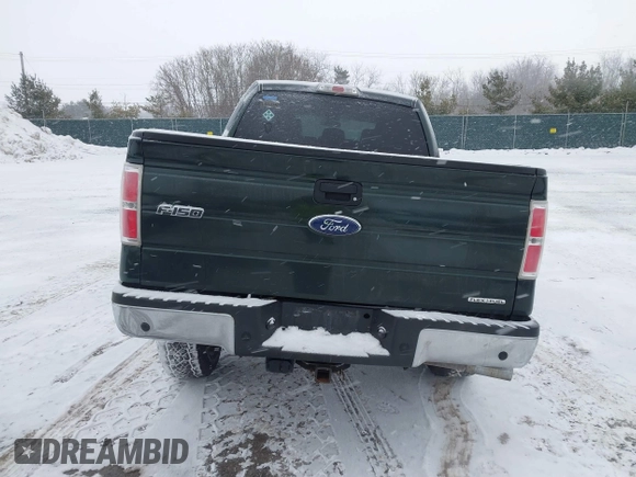 2013 Ford F-150 with VIN 1FTVW1EF4DKE07465, listed as a IAAI auction lot 41601235 with 131,721 mi miles and . Bid and sale history available at DreamBid. Image 16.