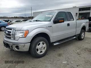 2009 Ford F-150 STX with VIN 1FTRX14839FB16876, listed as a Copart auction lot 51251245 with 151,202 mi miles and Clean title. Bid and sale history available at DreamBid. Image 1.