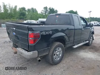 2010 Ford F-150 XL with VIN 1FTEX1E81AFA48403, listed as a IAAI auction lot 42499944 with 215,900 mi miles and . Bid and sale history available at DreamBid. Image 4.