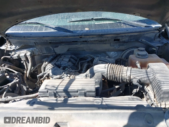 2011 Ford F-150 XL with VIN 1FTEX1CM2BFA34477, listed as a IAAI auction lot 41622676 with 260,123 mi miles and . Bid and sale history available at DreamBid. Image 10.