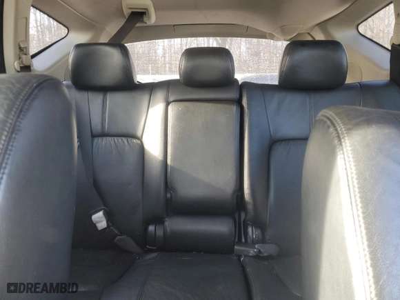 2009 Nissan Murano LE with VIN JN8AZ18W29W136394, listed as a Copart auction lot 42204175 with 0 mi miles and Clean Title. Bid and sale history available at carsss.com. Image 10.