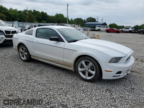 2014 Ford Mustang V6 with VIN 1ZVBP8AMXE5315092, listed as a Copart auction lot 58765755 with 177,060 mi miles and Salvage title. Bid and sale history available at DreamBid. Image 4.