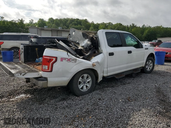 2015 Ford F-150 XLT with VIN 1FTEW1EF1FKF12791, listed as a Copart auction lot 60320115 with Not provided miles and Salvage title. Bid and sale history available at DreamBid. Image 3.