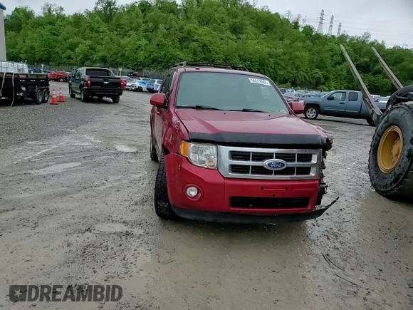 2011 Ford Escape Limited с VIN 1FMCU9EG0BKC22326, выставлен на аукционе Copart как лот 56519085 с пробегом 122 825 миль миль и Списание • Salvage title. История ставок и продаж доступна на DreamBid. Изображение 13.