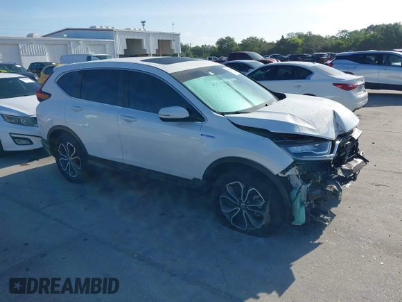 2020 Honda CR-V EX with VIN 7FART6H53LE005902, listed as a IAAI auction lot 41951308 with 50,498 mi miles and . Bid and sale history available at DreamBid. Image 1.