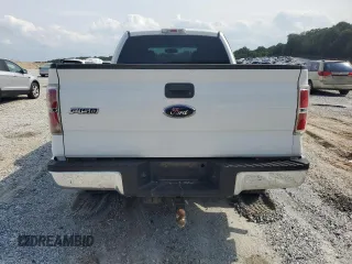 2010 Ford F-150 XL with VIN 1FTEX1E89AFB10260, listed as a Copart auction lot 57491885 with 185,044 mi miles and Salvage title. Bid and sale history available at DreamBid. Image 6.