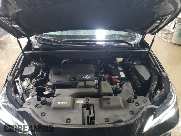 2022 Lexus NX with VIN 2T2ADCAZ4NC002205, listed as a Copart auction lot 44891975 with 19,509 mi miles and Salvage Title. Bid and sale history available at carsss.com. Image 11.