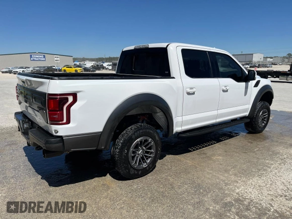 2019 Ford F-150 Raptor with VIN 1FTFW1RG6KFB68157, listed as a Copart auction lot 49493515 with 67,104 mi miles and Salvage Title. Bid and sale history available at carsss.com. Image 3.