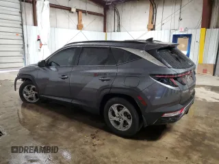2022 Hyundai Tucson SEL with VIN KM8JB3AE0NU066098, listed as a Copart auction lot 49412145 with 103,406 mi miles and Salvage Title. Bid and sale history available at carsss.com. Image 2.
