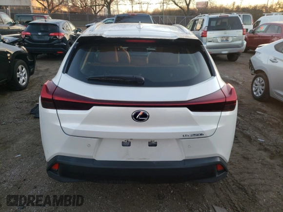 2019 Lexus UX with VIN JTHU9JBH1K2006492, listed as a Copart auction lot 68301442 with 0 mi miles. Bid and sale history available at carsss.com. Image 6.