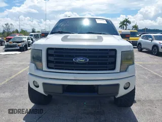 2014 Ford F-150 XL with VIN 1FTFW1CF6EFC85886, listed as a IAAI auction lot 42744465 with 162,383 mi miles and . Bid and sale history available at DreamBid. Image 12.