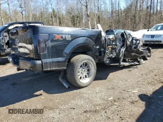 2017 Ford F-150 XL with VIN 1FTEW1EGXHFB44356, listed as a Copart auction lot 48041585 with Not provided miles and Non repairable. Bid and sale history available at DreamBid. Image 3.