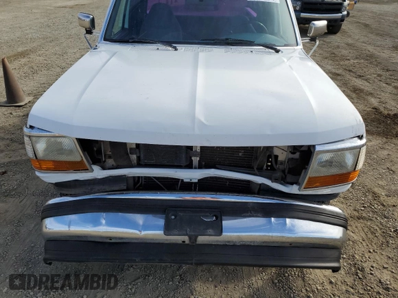 1994 Ford F-150 with VIN 1FTEX15N2RKA19727, listed as a Copart auction lot 78665674 with 1,352,769 mi miles and Salvage Title. Bid and sale history available at carsss.com. Image 11.