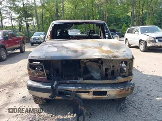 1996 Ford F-150 with VIN 1FTEF14N1TLA06585, listed as a IAAI auction lot 42393211 with Not provided miles and . Bid and sale history available at DreamBid. Image 11.