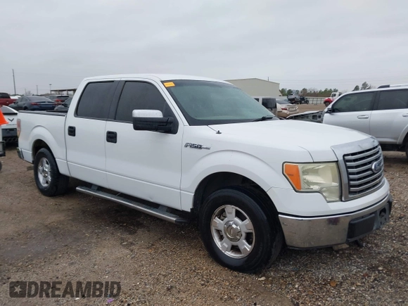 2010 Ford F-150 XL with VIN 1FTFW1CV6AFC72007, listed as a IAAI auction lot 41286194 with 146,591 mi miles. Bid and sale history available at carsss.com. Image 1.