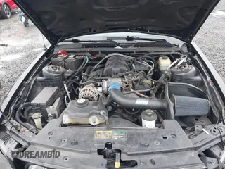 2006 Ford Mustang Standard with VIN 1ZVFT80N565161531, listed as a IAAI auction lot 41097766 with 149,250 mi miles and . Bid and sale history available at DreamBid. Image 10.