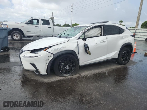 2020 Lexus NX 300 with VIN JTJDARBZ5L5000367, listed as a Copart auction lot 61573165 with 55,401 mi miles and Non repairable. Bid and sale history available at DreamBid. Image 1.