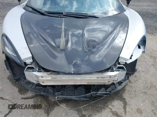 2019 McLaren 570S z VIN SBM13DAA2KW006285, wystawiony jako IAAI lot #41774081 z przebiegiem 24 032 mil mil oraz . Historia ofert i sprzedaży dostępna na DreamBid. Obrazek 6.