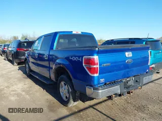 2009 Ford F-150 XL with VIN 1FTPW14V59KC52255, listed as a IAAI auction lot 42123114 with 190,641 mi miles and . Bid and sale history available at DreamBid. Image 3.
