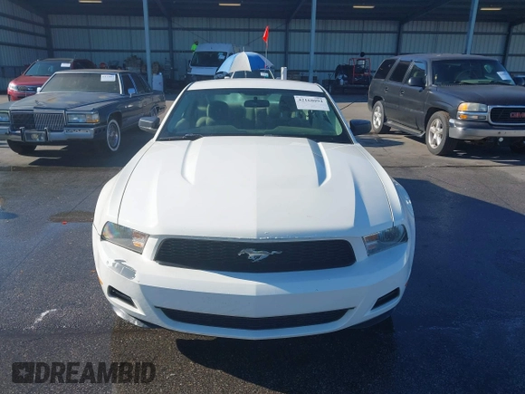 2010 Ford Mustang V6 with VIN 1ZVBP8AN5A5131407, listed as a IAAI auction lot 42168094 with 231,547 mi miles and . Bid and sale history available at DreamBid. Image 6.