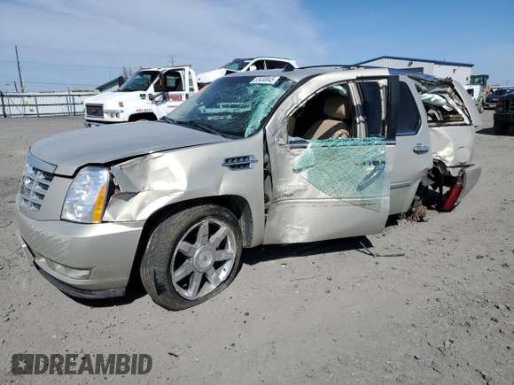 2011 Cadillac Escalade Premium with VIN 1GYS4CEF5BR138427, listed as a Copart auction lot 53430845 with Not provided miles and Salvage title. Bid and sale history available at DreamBid. Image 1.