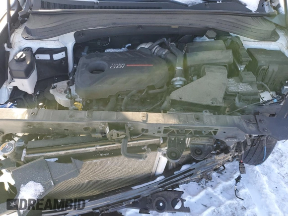 2020 Hyundai Santa Fe SEL with VIN 5NMS3CAA8LH299704, listed as a Copart auction lot 41842335 with 55,980 mi miles and Salvage Title. Bid and sale history available at carsss.com. Image 14.